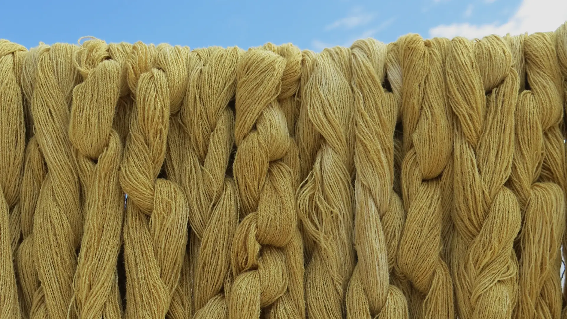Voress Museum-The endless thread (Adults)