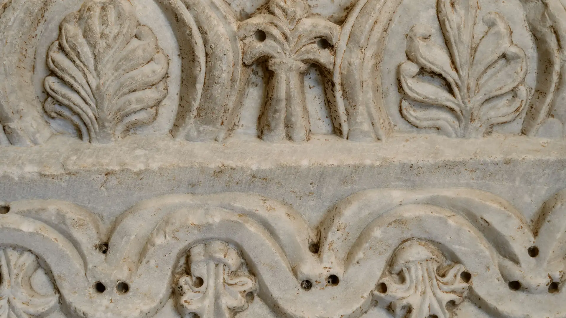 Voress Museum-Coexistence (Adults)