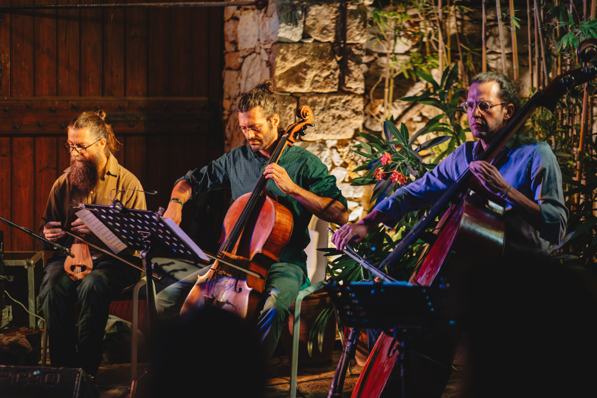 Voress Museum-vorres-museum-garden-stories-smari-concert-string-ensemble-egxorda-2